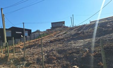 Oportunidad De Inversión En La Vega De Pupuya, Sexta Región