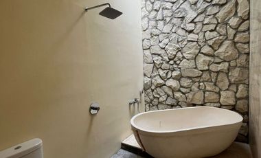 Own an Exclusive Japandi Villa in the Heart of Jogja — Aesthetic Design, High Rental Potential!