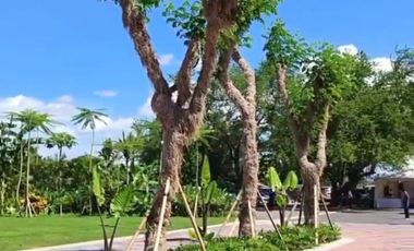 LUXURY CLUSTER HOUSING IN THE CENTER OF SANUR CITY AND KUTA BEACH, BALI