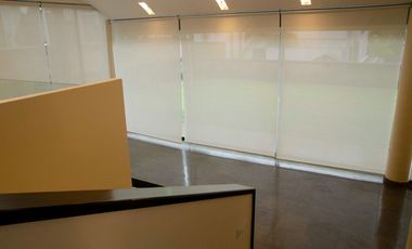 Casa en renta, en Prado Largo, Zona Esmeralda, con amplio jardín, impecable