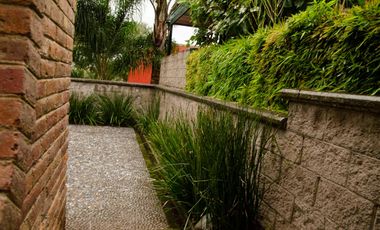 Casa en renta, en Prado Largo, Zona Esmeralda, con amplio jardín, impecable