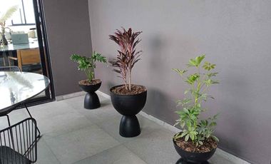 Penthouse amueblado dos pisos