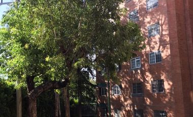 Renta de amplio departamento atrás del Britania $15,000