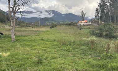 VENDO DOS TERRENOS EN PILLARO SECTOR EMILIO MARÍA TERAN