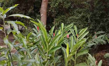 Arriendo Casa campo Betania