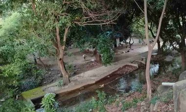 Arriendo Casa campo Betania