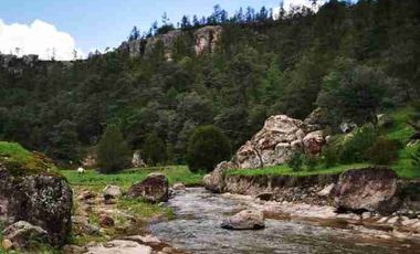 Terrenos en Venta- Reserva Alta Norte