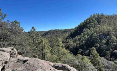 Terrenos en Venta- Reserva Alta Norte