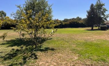 Arriendo Casa en Parcela — Colonia Alemana, Peñaflor