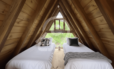 Gampling en venta en Olón Ecuador