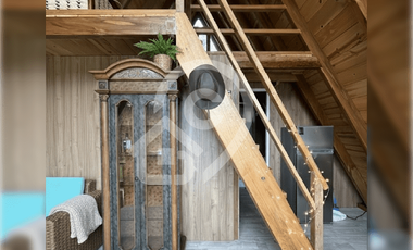 Gampling en venta en Olón Ecuador