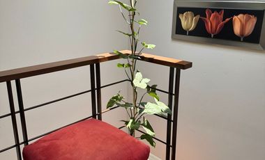 Venta casa Lomas Virreyes Calimaya, modelo Castilla