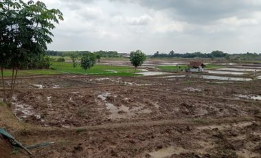 Gudang Murah dilokasi premium Jalan Utama Pegaden Subang Jawa Barat