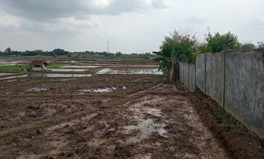 Gudang Murah dilokasi premium Jalan Utama Pegaden Subang Jawa Barat