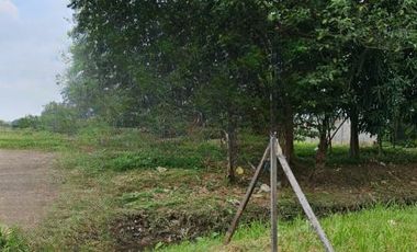 Gudang Murah dilokasi premium Jalan Utama Pegaden Subang Jawa Barat