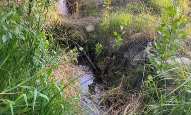 Venta Parcela 5.031 M2, Hacienda Requínoa, Rancagua