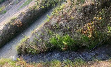 Venta Parcela 5.031 M2, Hacienda Requínoa, Rancagua