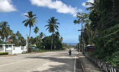 VALENCIA VIEW LOT FOR SALE in Jose Romero Road