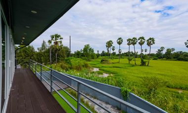 The One-and-Only Rare Collection – Two Adjacent Homes with a Shared Gate Patreeda Avenue 2, Sam Khok