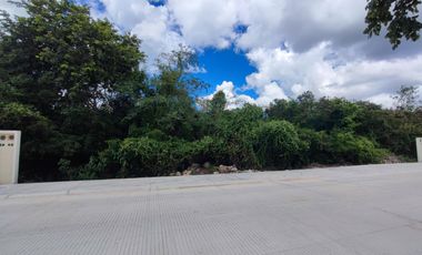 Terreno en venta 576.92 m2, en el Fraccionamiento Provincia, privada en Mérida, Yucatán con campo de golf