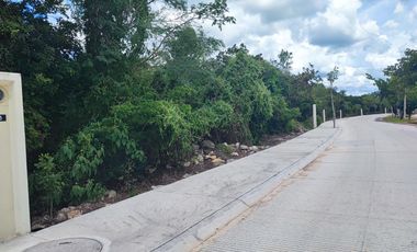 Terreno en venta 576.92 m2, en el Fraccionamiento Provincia, privada en Mérida, Yucatán con campo de golf