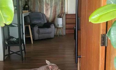 Rush House and Lot for Sale in Princton Heights Bacoor Cavite with Solar Panel