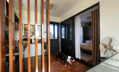 Rush House and Lot for Sale in Princton Heights Bacoor Cavite with Solar Panel