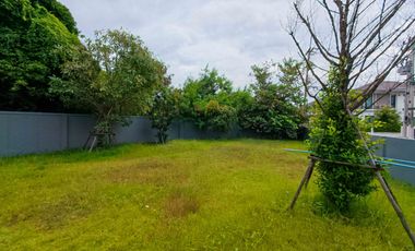 Corner Single House on the Largest Plot in the Project  Mooban Patreeda Avenue 2 (Patreeda Avenue 2), Sam Khok, Pathum Thani  Land size: 118.9 sq.wah