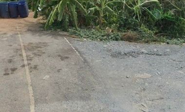 ขายที่ดิน เนื้อที่ 1 ไร่ ท่าทราย สมุทรสาคร