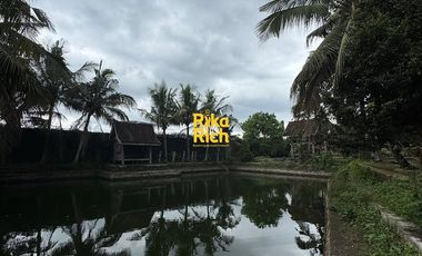 RUMAH LANGKA ETNIK JAVANESE STYLE LUAS SEMI FURNISHED SIAP PAKAI DI JOGJA UTARA AREA JALAN KALIURANG KM 10
