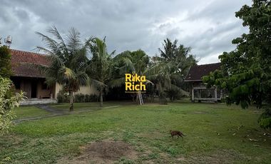 RUMAH LANGKA ETNIK JAVANESE STYLE LUAS SEMI FURNISHED SIAP PAKAI DI JOGJA UTARA AREA JALAN KALIURANG KM 10