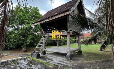 RUMAH LANGKA ETNIK JAVANESE STYLE LUAS SEMI FURNISHED SIAP PAKAI DI JOGJA UTARA AREA JALAN KALIURANG KM 10