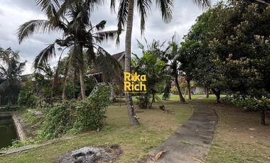 RUMAH LANGKA ETNIK JAVANESE STYLE LUAS SEMI FURNISHED SIAP PAKAI DI JOGJA UTARA AREA JALAN KALIURANG KM 10