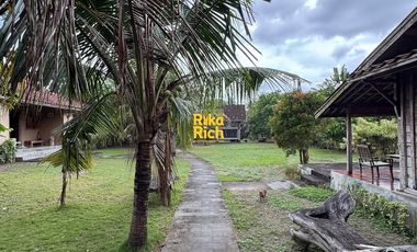 RUMAH LANGKA ETNIK JAVANESE STYLE LUAS SEMI FURNISHED SIAP PAKAI DI JOGJA UTARA AREA JALAN KALIURANG KM 10