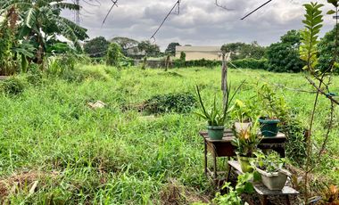 Commercial Lot for rent in C. J. Santos Street, Karuhatan, 2nd District, Valenzuela, Northern Manila District