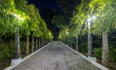 Beautiful Villa in Panglao Bohol ( PLEASE MAKE AN OFFER)