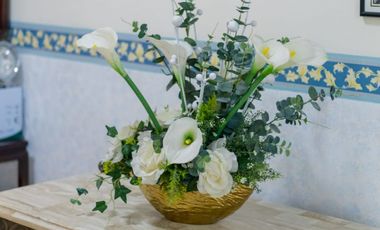 Beautiful Villa in Panglao Bohol ( PLEASE MAKE AN OFFER)