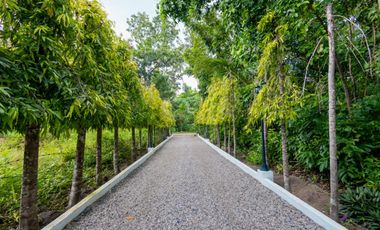 Beautiful Villa in Panglao Bohol ( PLEASE MAKE AN OFFER)