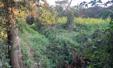 Tanah Jl.Raya Kranggan -Pringsurat.Temanggung-10868