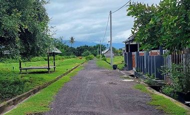 AMS-008.SH | 🏡 Super Murah Dijual Tanah Kavling Perumahan di Celukan Bawang – Gerokgak, Singaraja