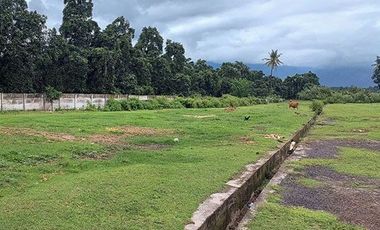 AMS-008.SH | 🏡 Super Murah Dijual Tanah Kavling Perumahan di Celukan Bawang – Gerokgak, Singaraja