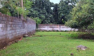 AMS-008.SH | 🏡 Super Murah Dijual Tanah Kavling Perumahan di Celukan Bawang – Gerokgak, Singaraja
