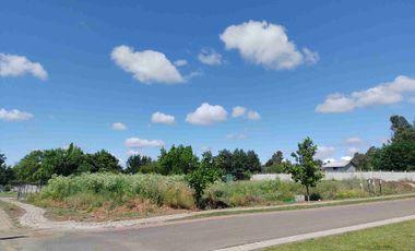 Lote urbano con luz y agua