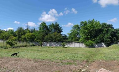 Lote urbano con luz y agua