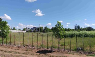 Lote urbano con luz y agua