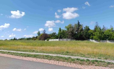 Lote urbano con luz y agua