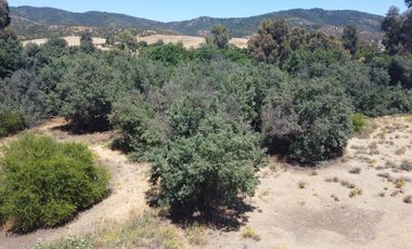 Hermosa Parcela Agroresidencial Con Casa Y Anexos La Retuca