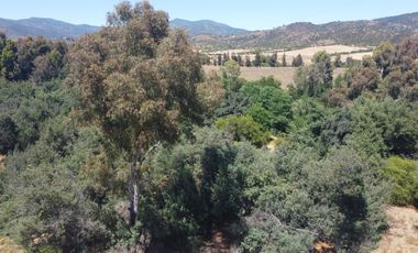 Amplio Terreno Agroresidencial Fundo La Retuca, Quilpué