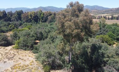 Amplio Terreno Agroresidencial Fundo La Retuca, Quilpué