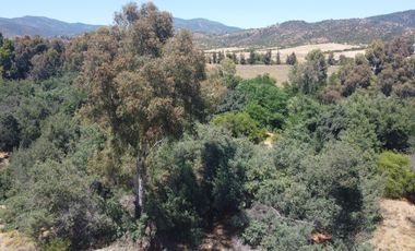 Amplio Terreno Agroresidencial Fundo La Retuca, Quilpué